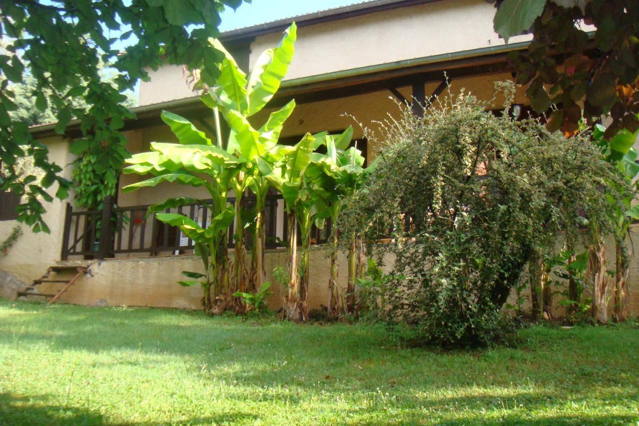 La Bergerie * Sarlat